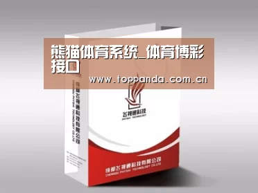 项目名称十三