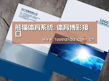 项目名称十