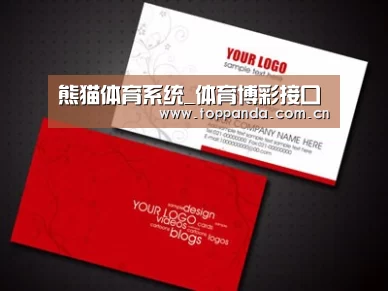 项目名称八