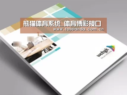 项目名称九