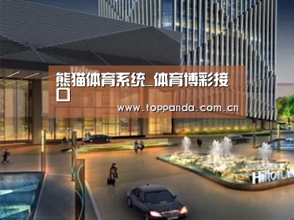 案例展示二