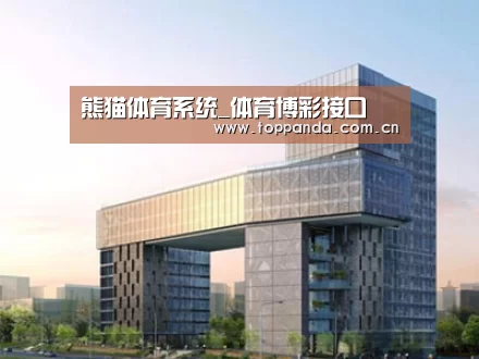 案例展示四