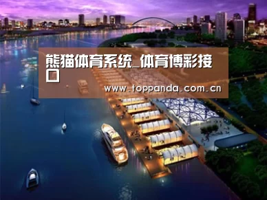 案例展示八