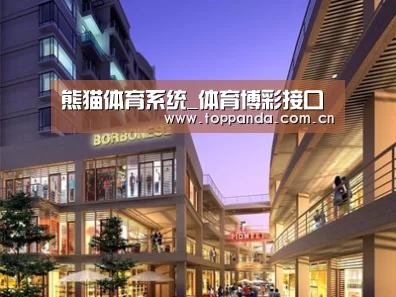 案例展示一