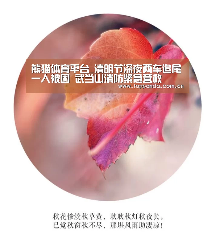 熊猫体育平台_清明节深夜两车追尾一人被困 武当山消防紧急营救(图1) db游戏