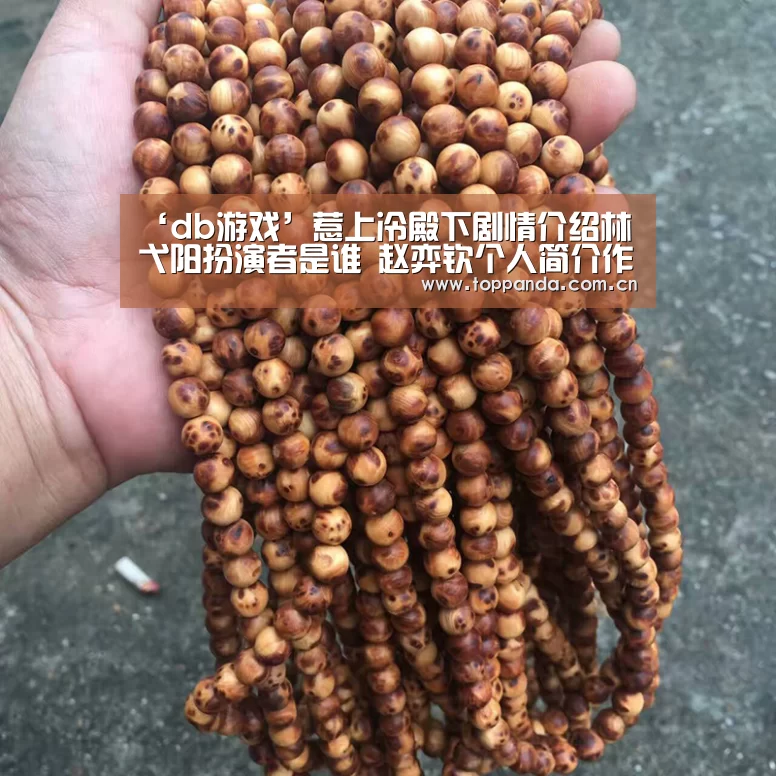 ‘db游戏’惹上冷殿下剧情介绍林弋阳扮演者是谁 赵弈钦个人简介作品(图4) 熊猫体育平台