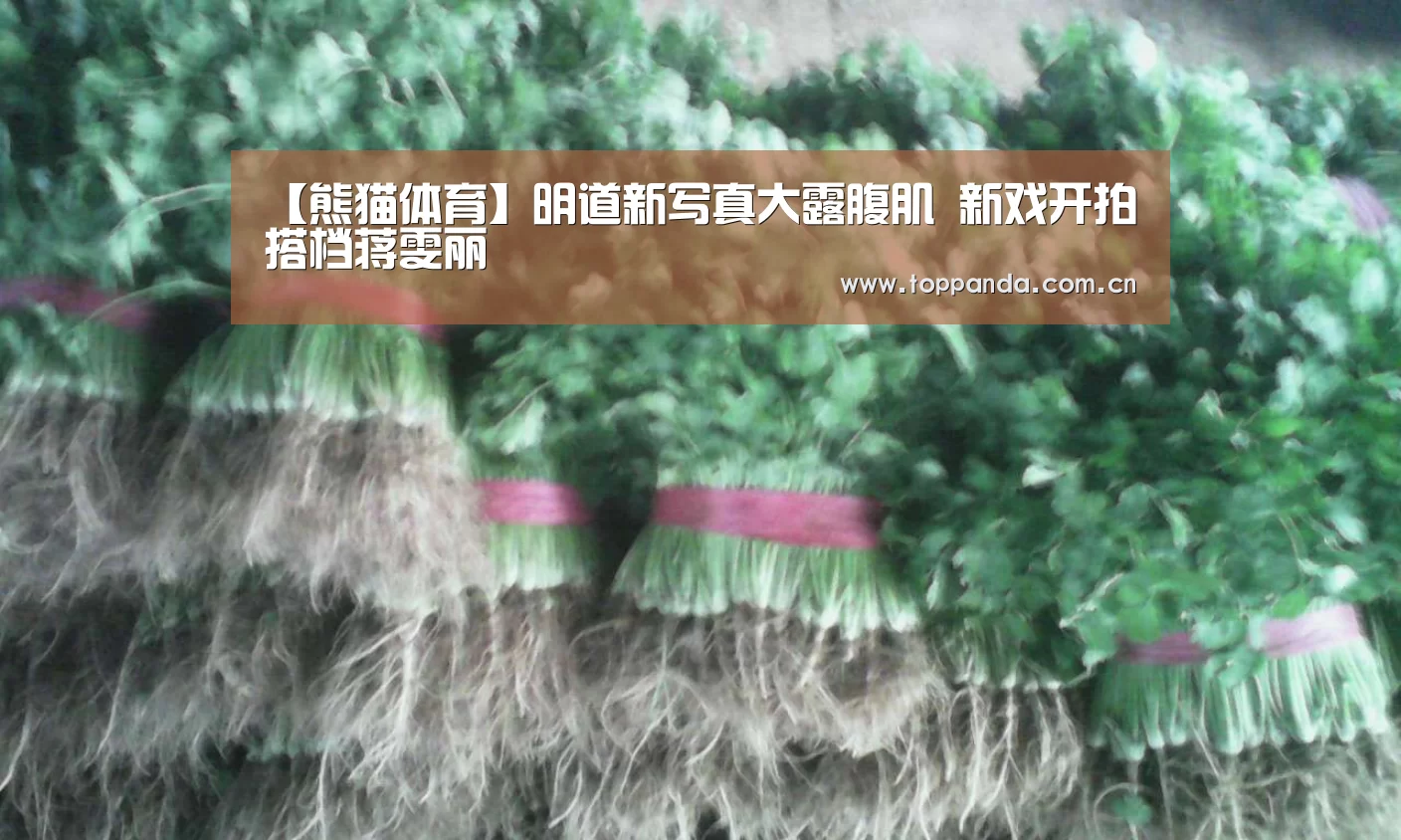 【熊猫体育】明道新写真大露腹肌 新戏开拍搭档蒋雯丽(图1) 熊猫体育