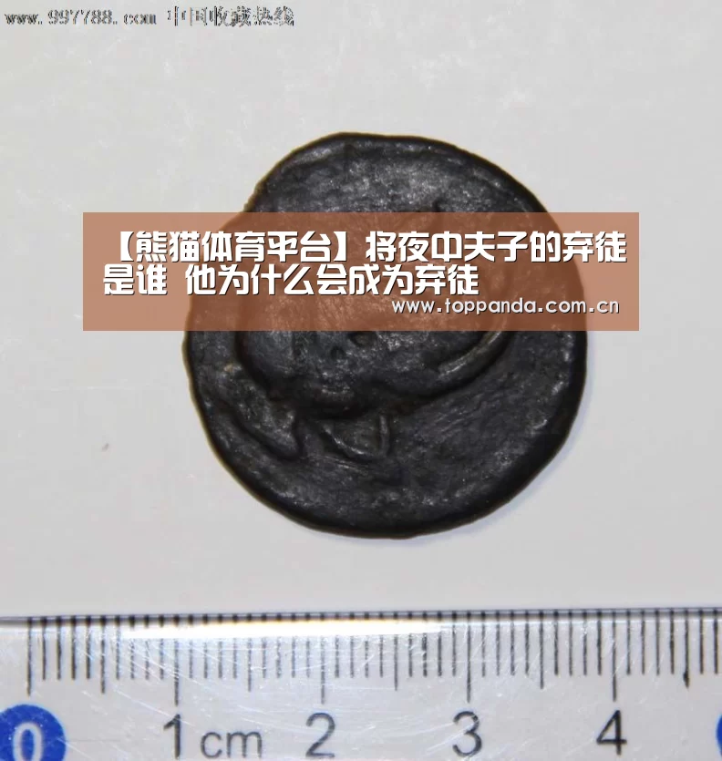 【熊猫体育平台】将夜中夫子的弃徒是谁 他为什么会成为弃徒(图1) 熊猫体育官网
