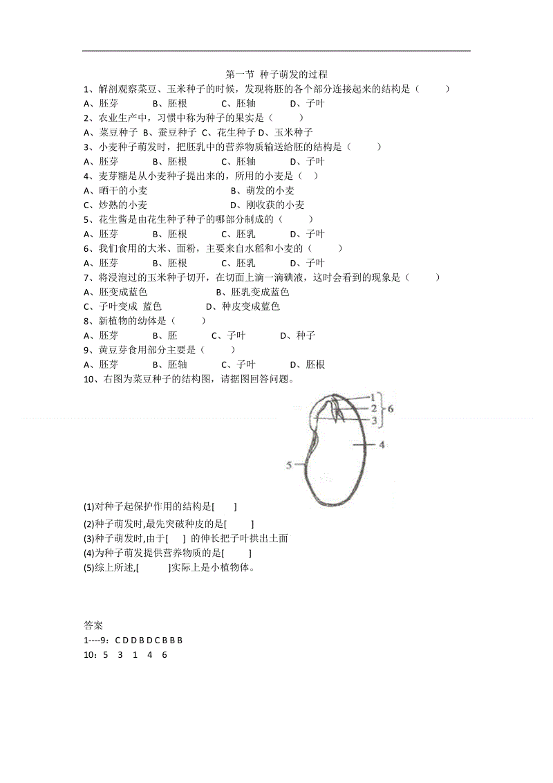 熊猫体育平台