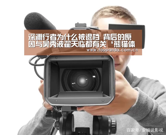 深渊行者为什么被退档 背后的原因与吴秀波翟天临都有关‘熊猫体育平台’(图1) 熊猫体育平台