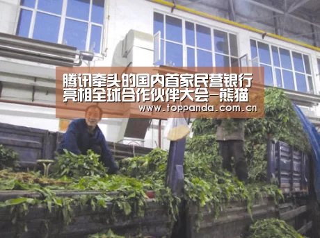 腾讯牵头的国内首家民营银行亮相全球合作伙伴大会-熊猫体育(图1) 熊猫体育
