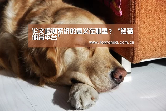 熊猫体育官网
