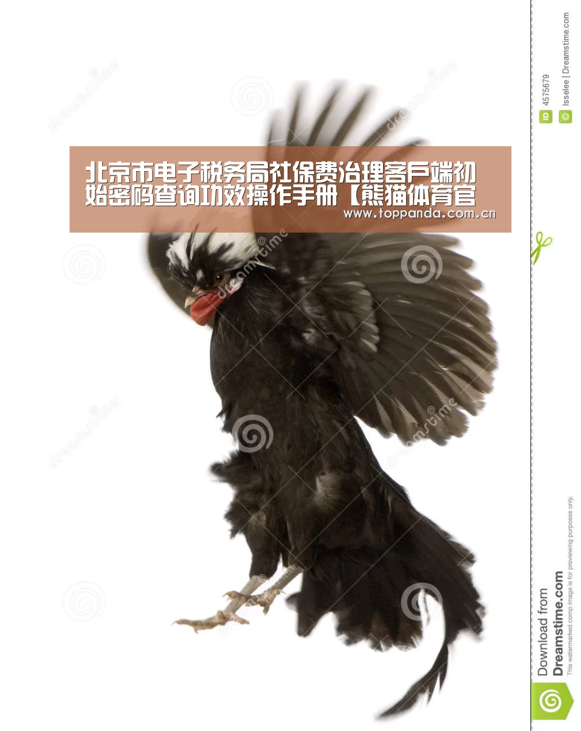 北京市电子税务局社保费治理客户端初始密码查询功效操作手册【熊猫体育官网】(图1) 熊猫体育